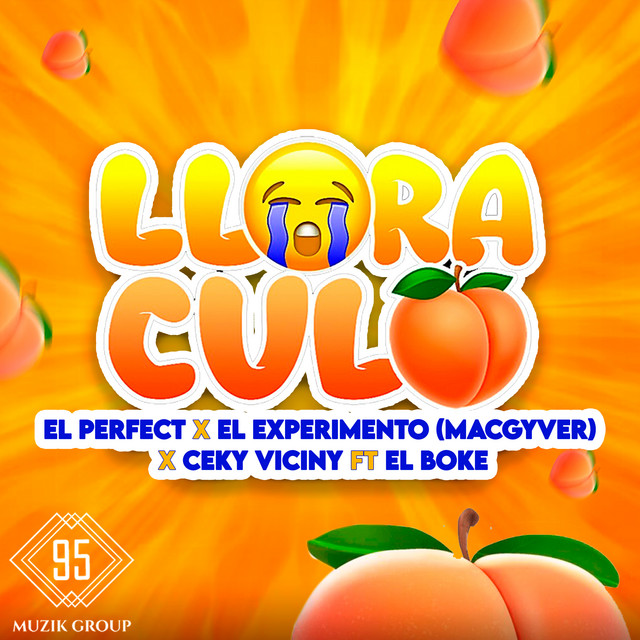 Portada de Llora Culo