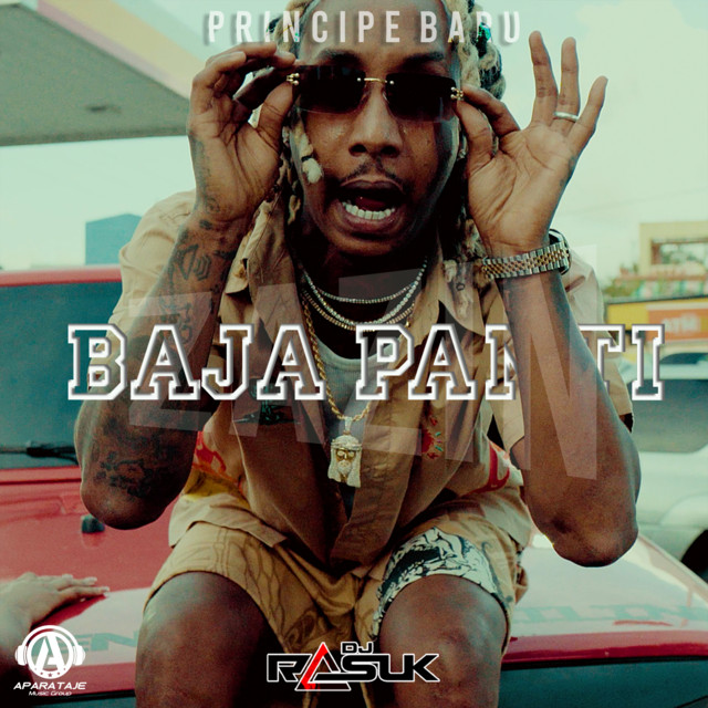 Portada de Baja Panti
