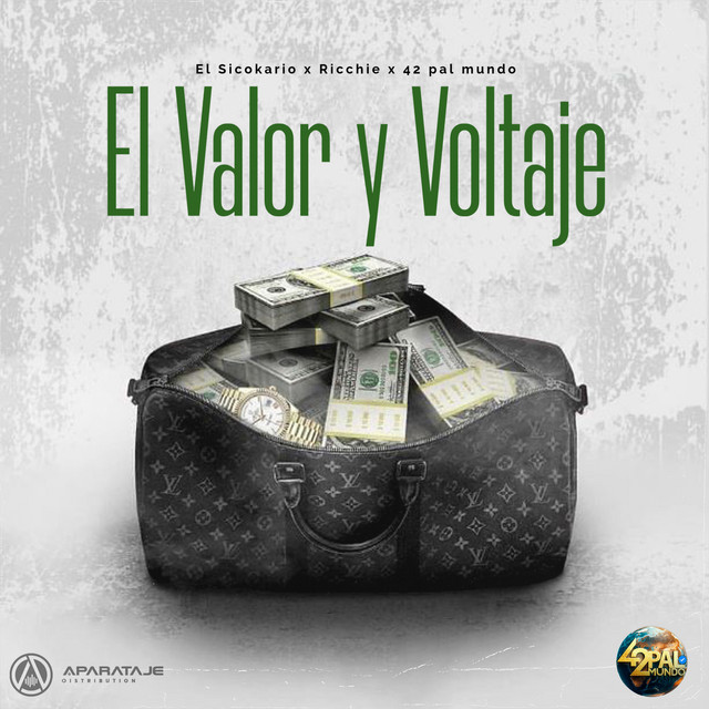 Portada de El Valor Y Voltaje